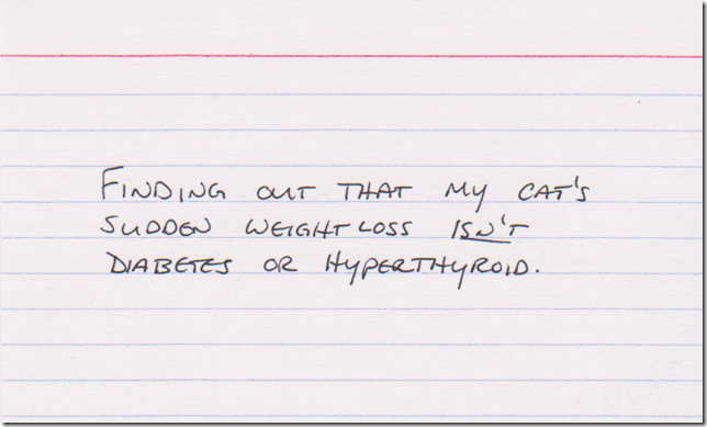 Finding out that my cat's sudden weight loss ISN'T diabetes or hyperthyroid.