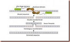 genomeEditing_0