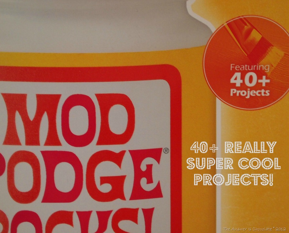 [Mod%2520Podge%2520Rocks%2520Book%255B4%255D.jpg]