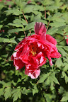 These vibrant colors are ravishing!
