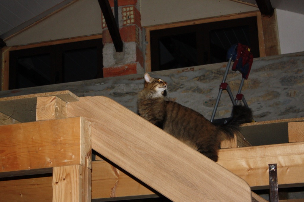 [IMG_8285%255B3%255D.jpg]