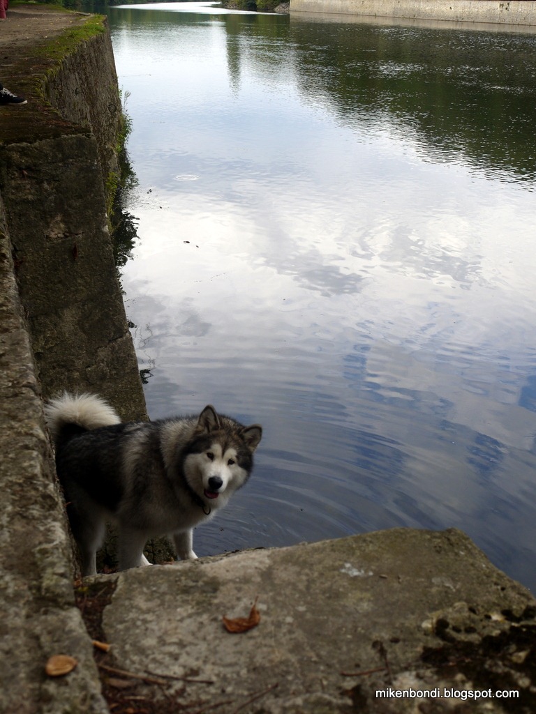 [Munson%2520seeking%2520swim%2520in%2520the%2520Cher%255B3%255D.jpg]
