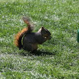 IMG_2680.JPG
