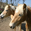 BP-2010-putim-0424-192.jpg