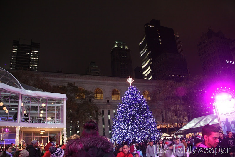December NYC 052