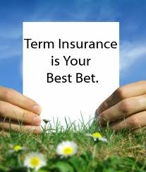 [term-life-insurance.jpg]