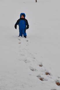 [DSC_9503%255B7%255D.jpg]