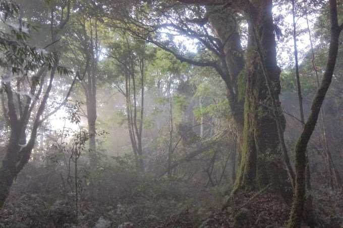 2014_1005_055901 2014_1005_055901