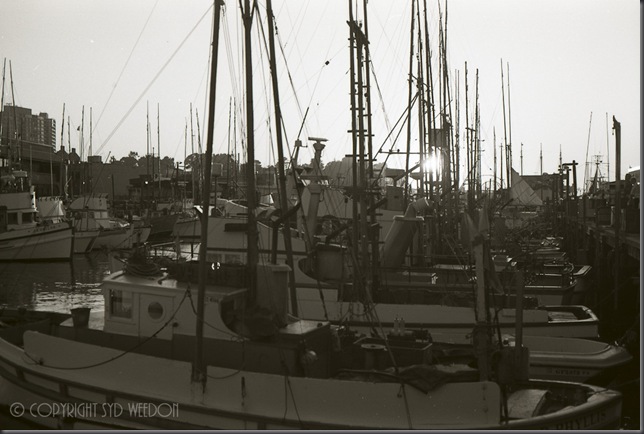 Fishermans Wharf Sundown 82 7