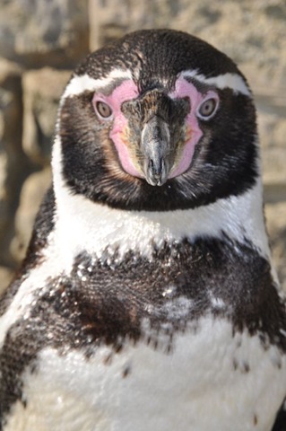 [DSC_0339%255B5%255D.jpg]