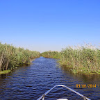 IMG_5695.JPG