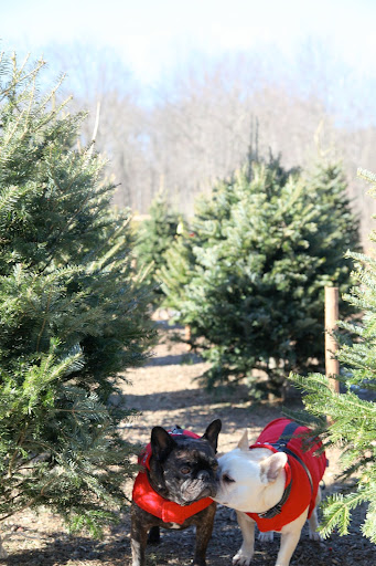 Franny, don't say a word, but I heard that Santa has some wonderful surprises for us this year.