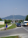 P1010143.JPG