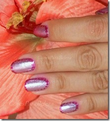 cores para beleza borda 12 cores para beleza borda 12