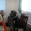 DSC04711.JPG