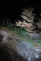 IMG_0538.JPG