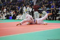 IMG_2509.jpg