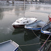 IMG_3590.JPG