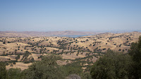 DSC02987.jpg