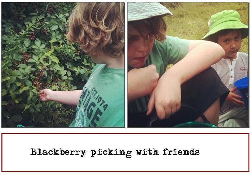 [blackberry%2520picking%2520feb%25202012%255B6%255D.jpg]
