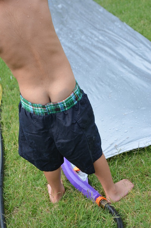 [DSC_14503.jpg]