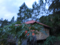 IMG_0174.jpg Photo