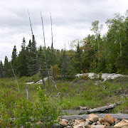 Great Outdoors