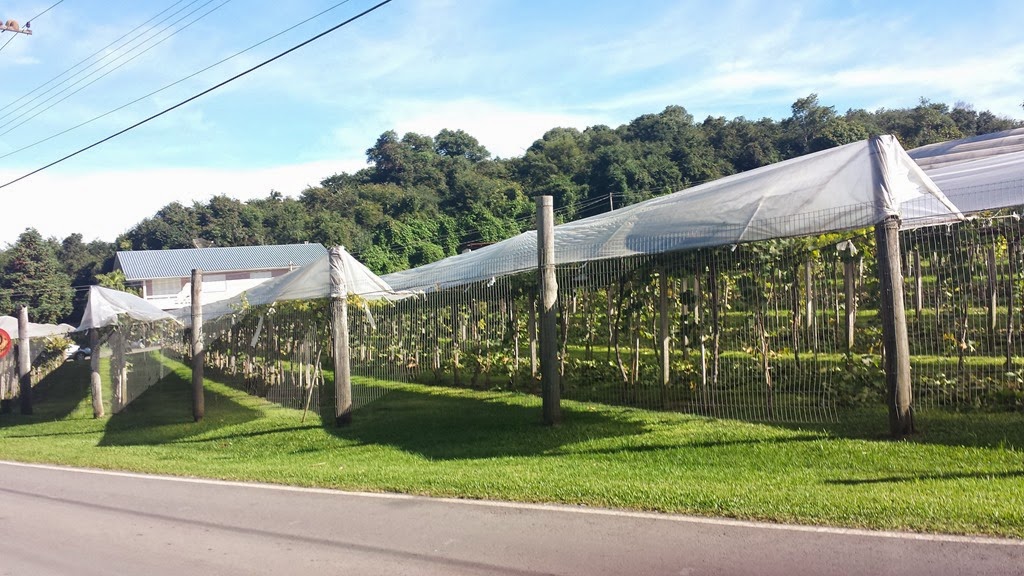 [20140503_101020%255B4%255D.jpg]