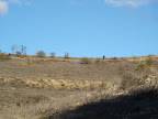  &ndash; 31-ene-2010