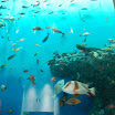 hokkaido_491.jpg