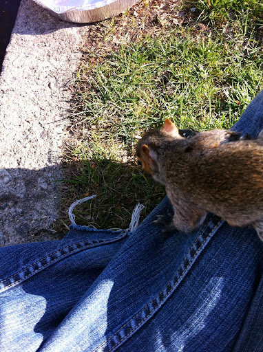 ...And she crawled right up onto my leg! She seemed not to fear humans. I was unsure what to do-I know it is often best for wildlife not to be handled by humans... I called my friend and trusty fellow rescuer, Jane Garrison, out in California for advice... ...And she crawled right up onto my leg! She seemed not to fear humans. I was unsure what to do-I know it is often best for wildlife not to be handled by humans... I called my friend and trusty fellow rescuer, Jane Garrison, out in California for advice...
