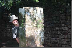 IMG_2452 IMG_2452