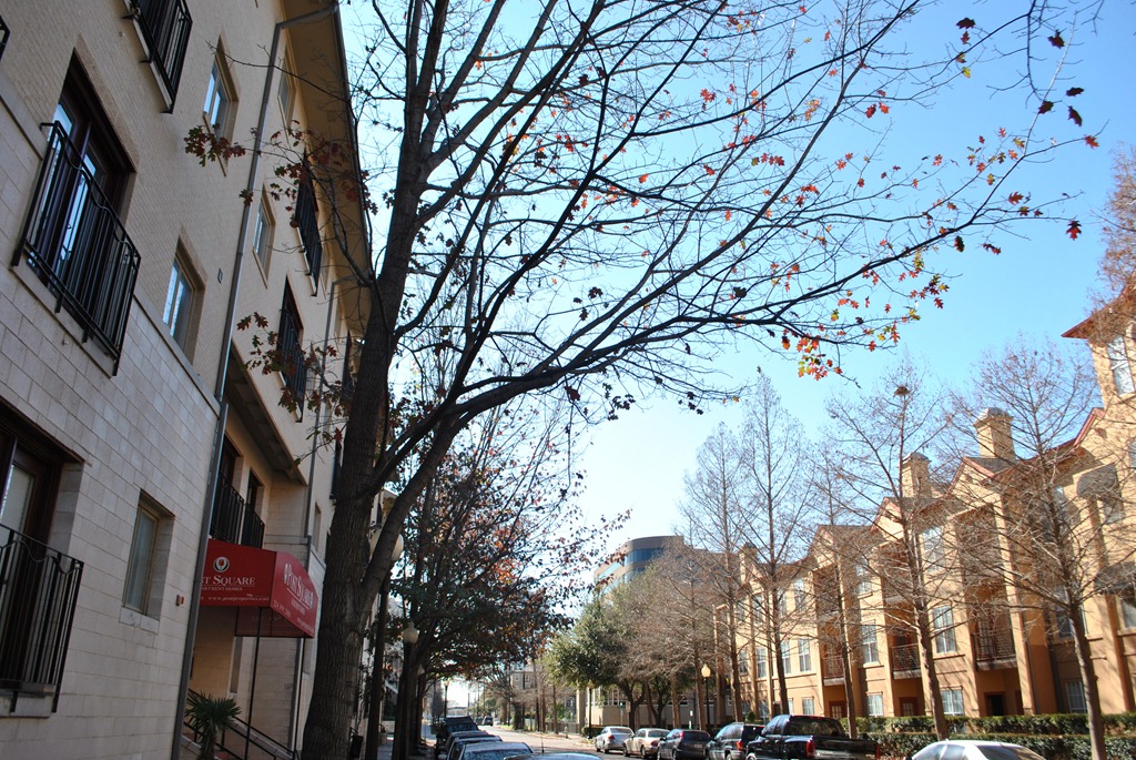 [DSC_8039%255B4%255D.jpg]