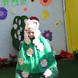 Tu bi shvat 2012 stars...