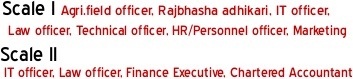 IBPS Specialist Officer CWE