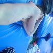 Turkije 2008 Bouba 159.JPG