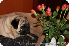 IMG_1857 IMG_1857