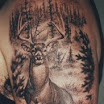 Deer #1