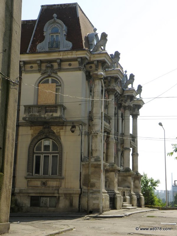 P7104187-1.jpg