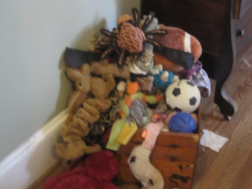 And there is no shortage of toys to play with.