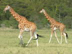 DSCN6350.JPG