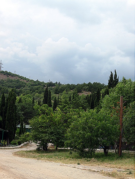 IMG_5090 IMG_5090