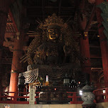 biggest bouda in japan in Nara, Japan 