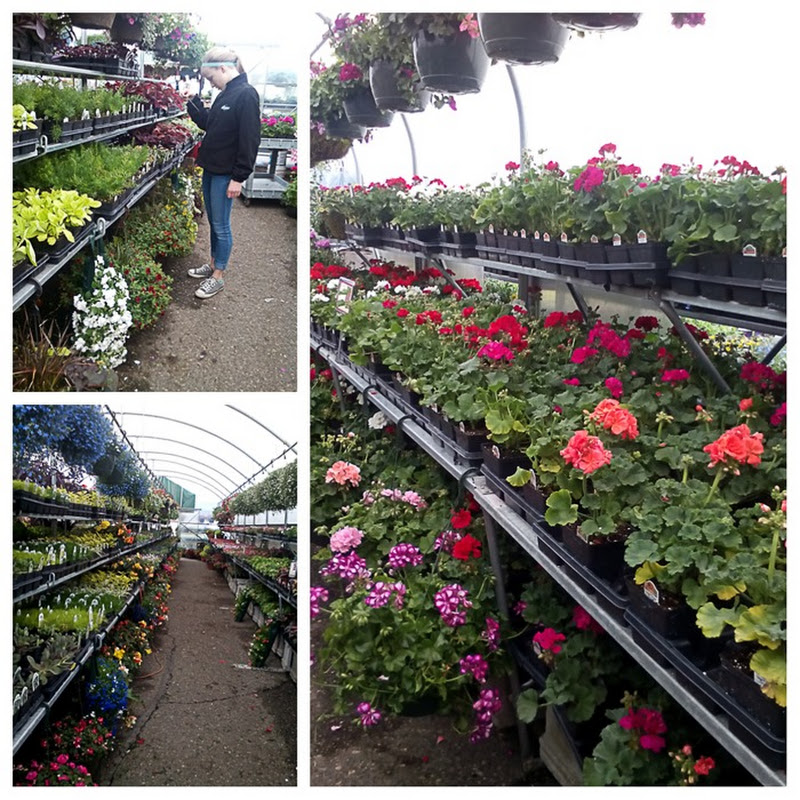 Garden Centers and Being Flexible