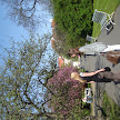DSC07617.JPG