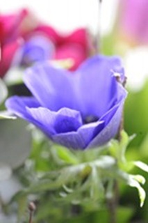 20120223_101114