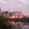 dsc07247.jpg