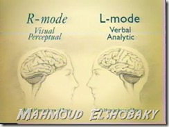 الفرق بين نصفى المخ فى التعامل مع المعلومات