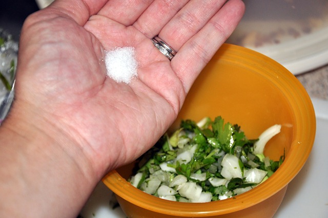 [making-guacamole-106.jpg]