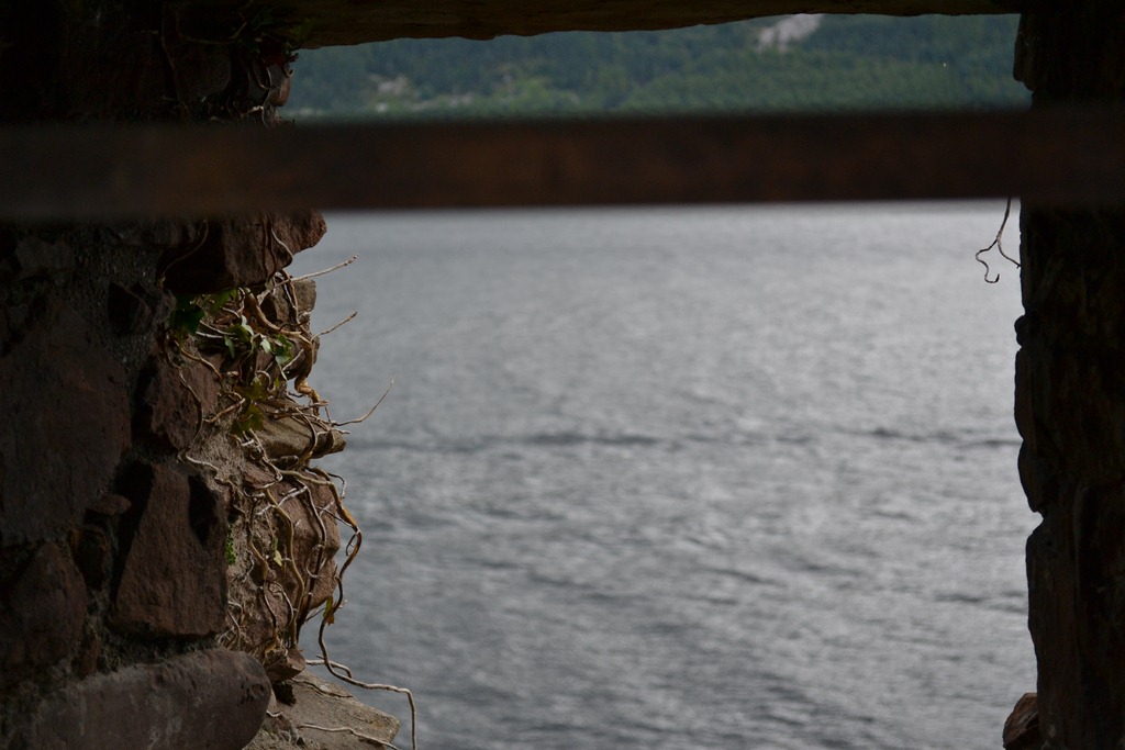 [DSC_05445.jpg]